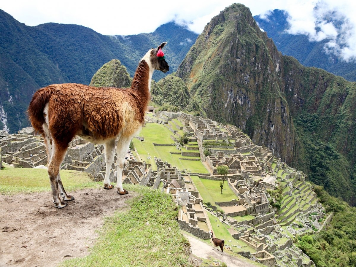 Bất luận Machu Picchu được xây dựng với mục đích gì, đây là hiện thân của tiến bộ về kỹ thuật nông nghiệp và thủy lợi với những công trình đá phức tạp và hệ thống tưới tiêu thông minh.