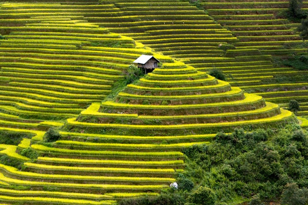 Ruong bac thang Mu Cang Chai duoc ca ngoi tren bao Tay hinh anh