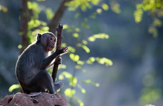 Cảnh tượng rất yên bình trong buổi sớm mai.