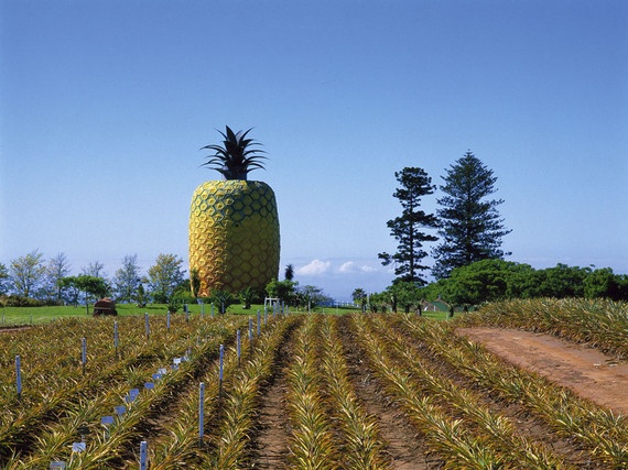 9. Dứa khổng lồ, Nam Phi:  Bức tượng quả dứa khổng lồ cao 17 m làm bằng sợi thủy tinh nhằm quảng bá cho ngành công nghiệp chế biến dứa ở vùng Eastern Cape. Du khách có thể lên đài quan sát ở trên cùng quả dứa để tham quan khu vực và xem một bộ phim về ngành nông nghiệp của vùng, rồi xuống tầng trệt mua mứt dứa và các sản phẩm làm từ dứa.