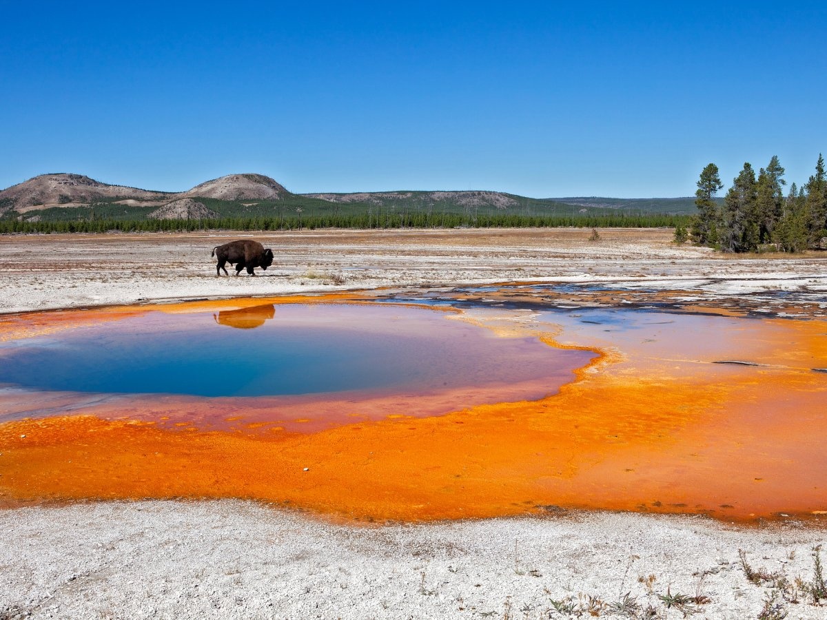 4. Công viên quốc gia lâu đời nhất: Công viên Yellowstone của Mỹ là nơi đầu tiên được Tổng thống Ulysses S Grant gọi là công viên quốc gia vào năm 1872. Yellowstone là điểm hút khách du lịch với nhiều cảnh đẹp nổi tiếng như suối nước nóng Grand Prismatic nhiều màu.