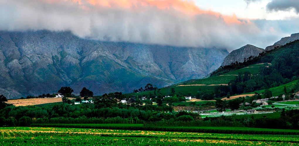 Franschhoek, Nam Phi: Thung lũng Napa ở Nam Phi cách Cape Town 75 km. Đây là thị trấn trồng nho kiểu Hà Lan, nơi sản xuất ra các loại rượu vang nổi tiếng như Syrahs và Pinotages.