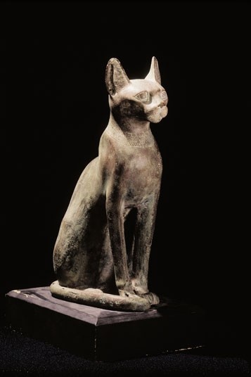 Bảo tàng mèo, San Francisco: Một tổ chức ở California nghiên cứu về mối quan hệ của người và mèo bắt nguồn từ 5.000 năm trước đây. Các cuộc triển lãm bao gồm hiện tượng tôn thờ mèo ở thời Ai Cập cổ đại, và sự xuất hiện của những chú mèo trong các bộ phim như Breakfast at Tiffanys. 