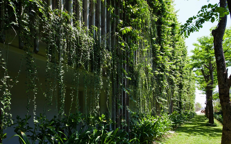 Các dây nho giúp cản ánh nắng và đón gió, nhằm giảm nhiệt trong mùa hè oi ả.