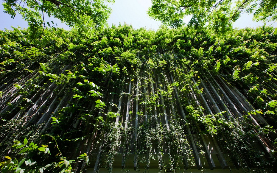 Ý tưởng phủ xanh Naman do kiến trúc sư Võ Trọng Nghĩa thực hiện.