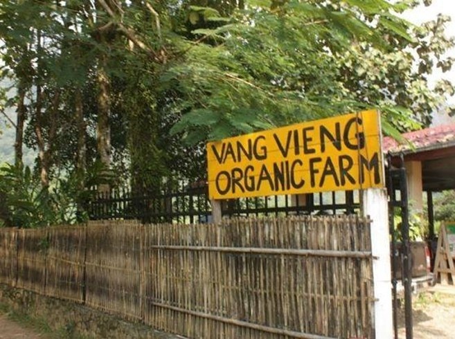 9. Làm việc trong trang trại: Hatton từng làm việc trong một số trang trại để đổi lấy chỗ ở trên hành trình của mình. “Tôi giúp việc ở Organic Farm, Vang Viang, Lào. Ở miền bắc Lào bên ngoài Luang Prabang, tôi còn giúp một gia đình địa phương thu hoạch lúa gần một ngôi làng nhỏ ở Nong Khiaw. Tôi ở homestay và không có nhiều tiền, vì vậy tôi hỏi họ liệu tôi có thể trả tiền ăn và đổi sức lao động lấy chỗ ở không, và họ vui vẻ đồng ý”.