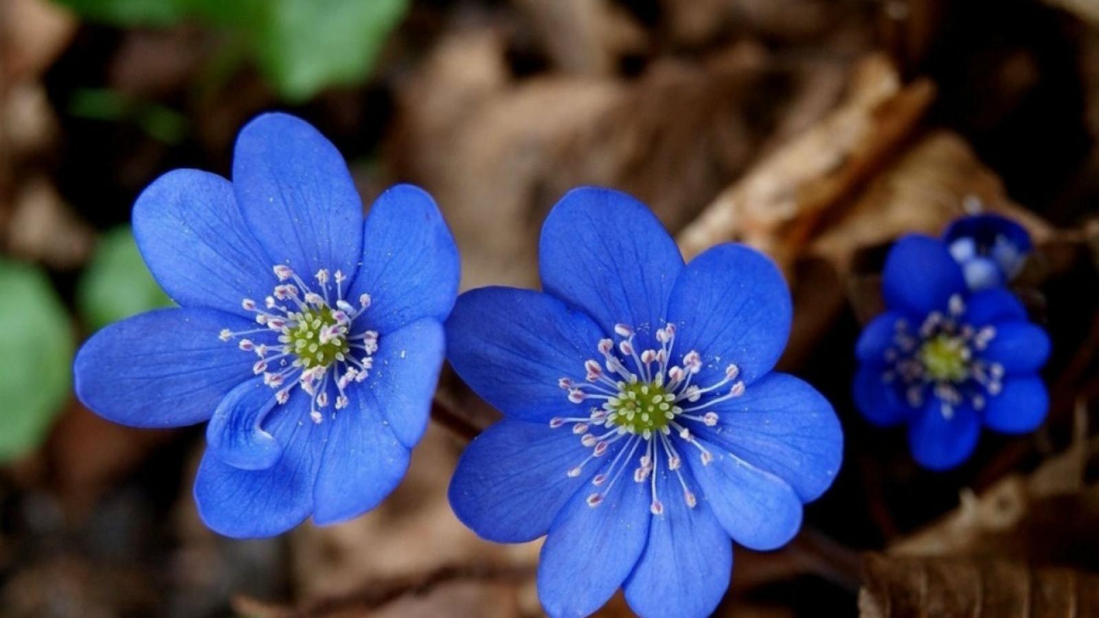 Van may ngay thu bay (22/8) hinh anh