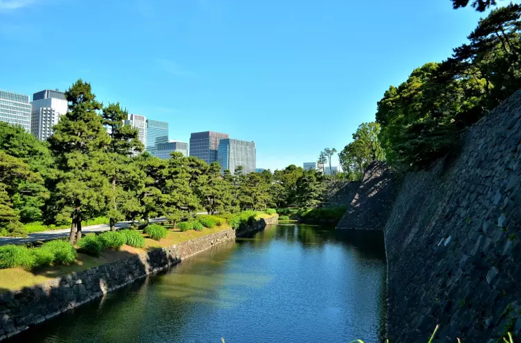 Không gian xanh mướt tại Imperial Palace East Gardens, Tokyo.
