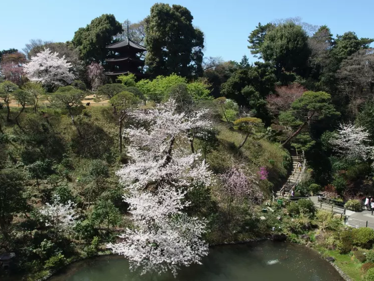 Khu vườn tuyệt đẹp ở khách sạn Chinzanso, Tokyo.