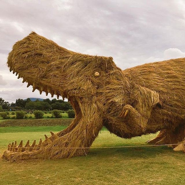 Những bức tượng có kích thước lớn hơn thực tế với tạo hình ngộ nghĩnh.