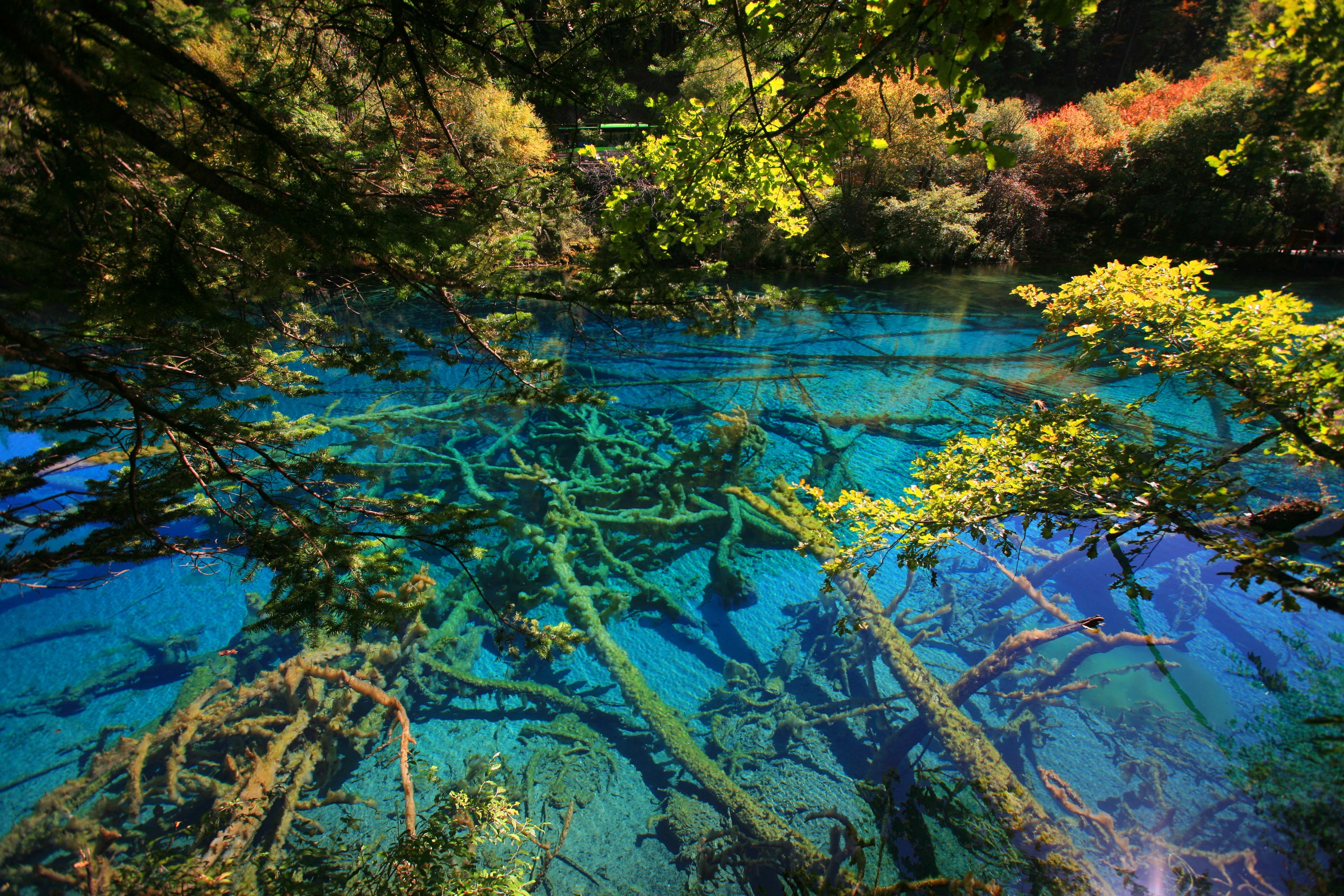  Du khách có thể lựa chọn cho mình một hành trình tới Cửu Trại Câu vào mùa thu để thưỡng lãm tuyệt tác mà thiên nhiên ban tặng cho con người. Ảnh: Ifeng