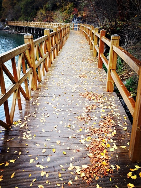 Giá vé vào cổng cho 1 người là 220 NDT, và vé xe bus tham quan các điểm sẽ là 90 NDT. Khách du lịch thường mua cả 2 vé này vì diện tích bên trong rất lớn, đi bộ tham quan sẽ không thể đi hết các địa điểm trong ngày. Ảnh: Baike