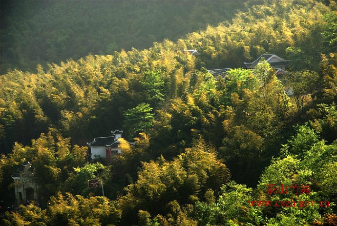 Hình ảnh biển trúc mà khán giả nhìn thấy nằm trong khu du lịch Trà Sơn Trúc Hải thuộc phía Bắc thành phố Vĩnh Xuyên, Trùng Khánh, Trung Quốc. Ảnh: Cszh