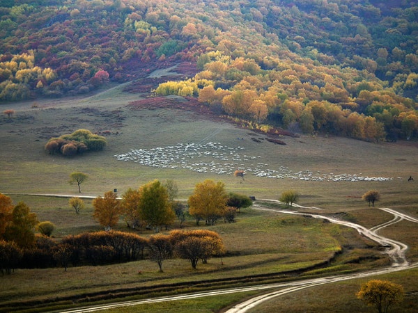 Tới đây, bạn có thể lựa chọn ở nhà của người dân trên thảo nguyên. Giá thuê nhà không đắt, chủ nhà còn có thể liên hệ giúp bạn xe và ngựa với giá cả phải chăng. 