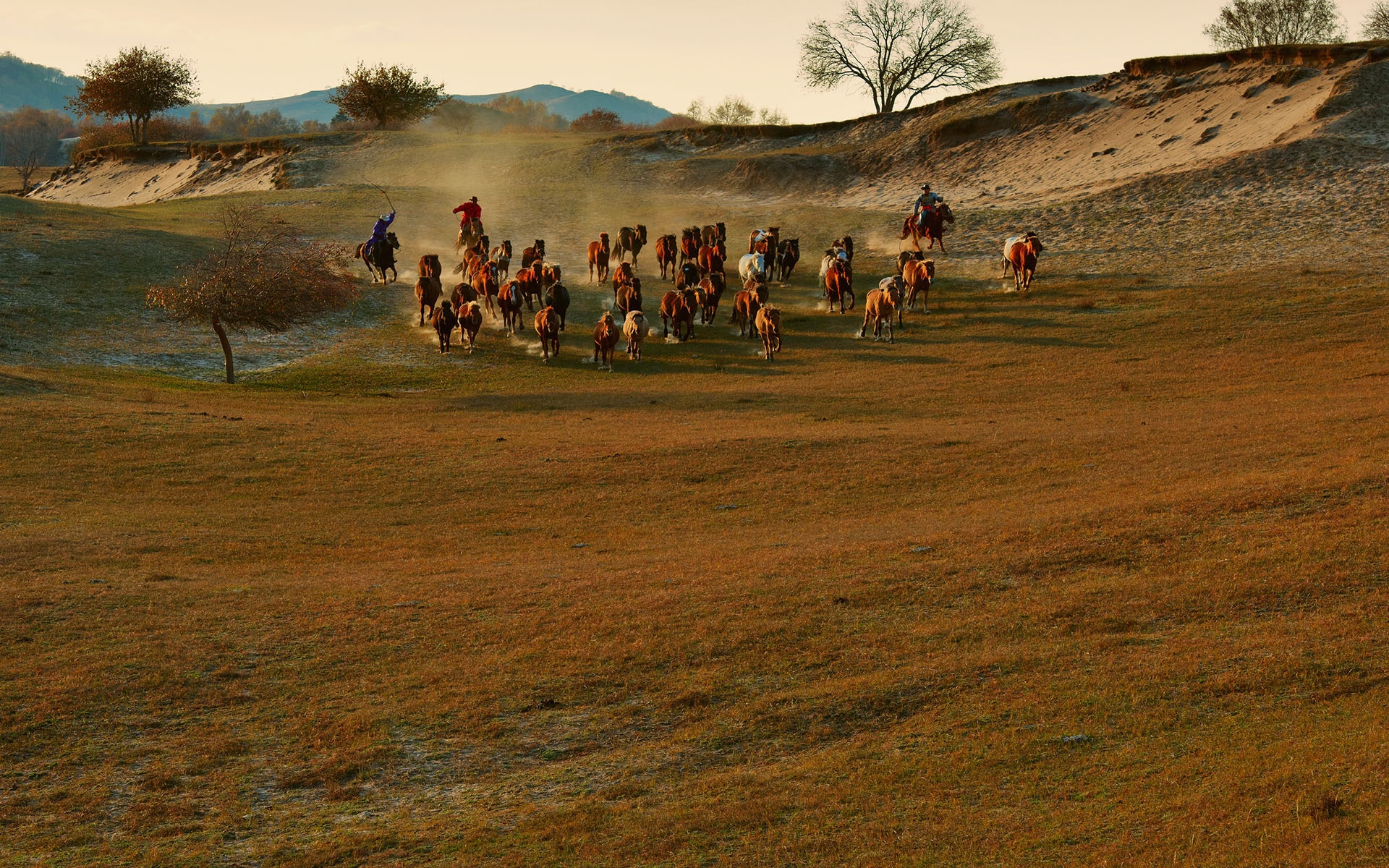 Mùa thu về, cả thảo nguyên từ đồng cỏ, hồ nước, núi non và thung lũng đều được bao phủ một sắc vàng rực rỡ. 