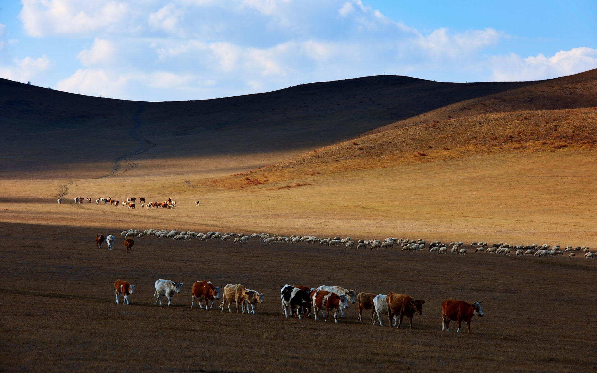 Tận hưởng khung cảnh thiên nhiên tuyệt diệu với nhịp sống thật chậm, thật thư thái chắc chắn sẽ là những trải nghiệm tuyệt vời cho du khách khi tới Bashang.  