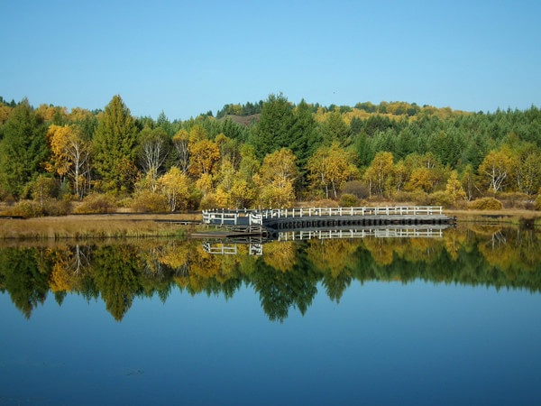 Đi thăm Bashang, bạn cần chú ý mang theo áo ấm bởi chưa phải mùa đông nhưng mùa thu trên thảo nguyên đã rất lạnh. Ban ngày nhiệt độ tuy thấp nhưng nắng vẫn vàng rộm nên du khách có thể mang theo kem chống nắng để phòng tia cực tím. 