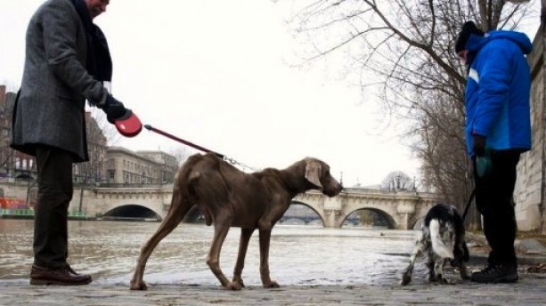 9 dieu khien Paris khong hoa le nhu ban tuong hinh anh