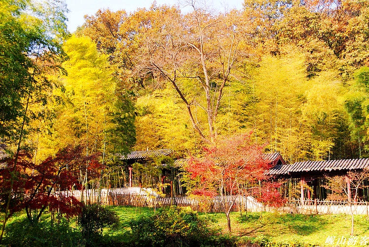 Cảnh sắc của Long Trung từng được La Quán Trung miêu tả rất hấp dẫn: Núi không cao nhưng rất đẹp, nước không sâu nhưng trong vắt, đất không rộng nhưng bằng phẳng, rừng không lớn nhưng tươi tốt, trúc, thông rậm rập, chim kêu vượn hót rộn ràng cả khu rừng.... Ảnh: Sina