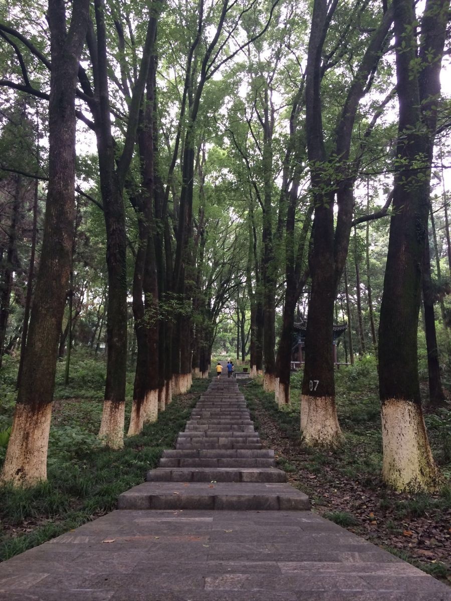 Tại đây, Gia Cát Lượng đã sinh sống khi còn trẻ, là nơi ông tự mình cày ruộng, đặc biệt Long Trung chính là địa điểm có Lều cỏ mà Lưu Bị phải tới 3 lần để mời Gia Cát Lượng xuất núi. Ảnh: Sina