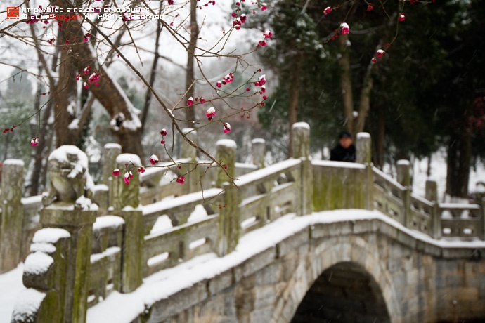 Cây cầu Tiểu Hồng trong Long Trung cũng được du khách rất quan tâm. Theo Tam Quốc Diễn Nghĩa thì đây là nơi gặp gỡ giữa Lưu Bị và nhạc phụ của Gia Cát Lượng trong lần thứ 2 Lưu Bị tới Lều Cỏ. Ảnh: Sina