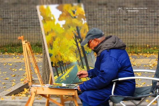 Bạn có thể ngồi xe bus 300, 830, 402 ... đến trạm Nongzhanguan hoặc 302lu, 300lu đến Liangmaqiao, 113lu, 758lu, 416lu đến trạm Sanlitun để tới đây ngắm lá vàng. Ảnh: Baike