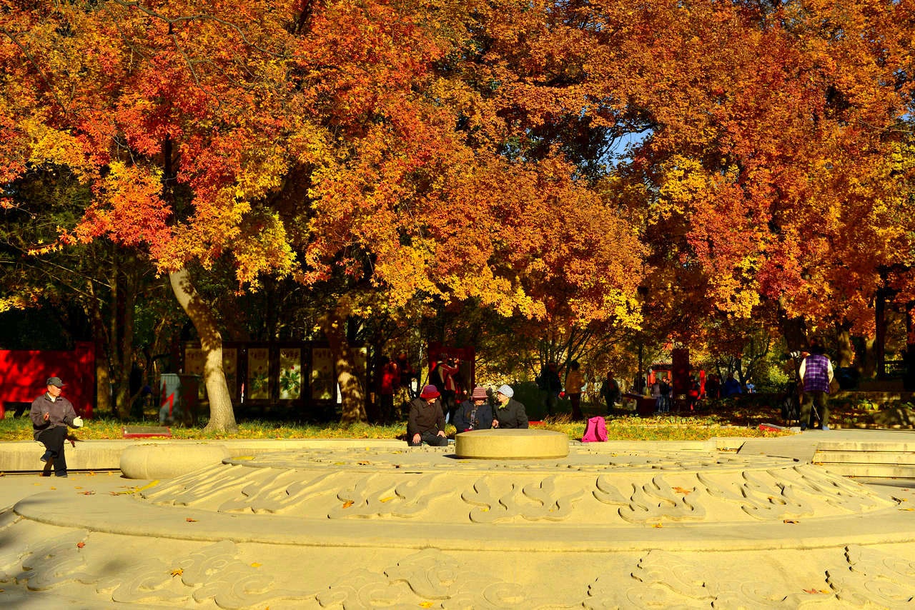 Du khách có thể đi xe bus 104lu, 108lu, 124lu đến trạm Ditan, hoặc đi tàu điện ngầm số 2 đến trạm Andingmen, số 5 đến trạm Yonghegong để thăm công viên Địa Đàn. Ảnh: Mafengwo