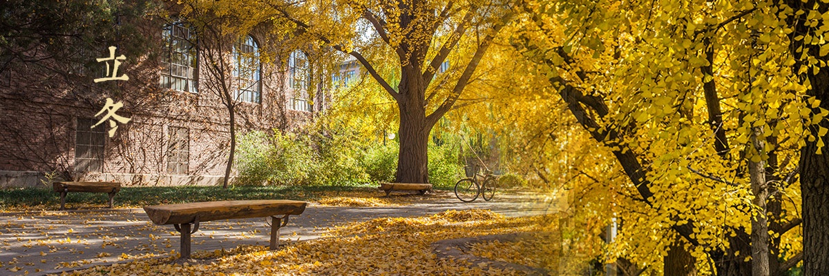 Đại học Thanh Hoa. Nếu cảnh thu ở khu Điếu Ngư Đài có ý nghĩa tượng trưng cho thu Bắc Kinh, cảnh thu trong Địa Đàn mang ý nghĩa văn hóa lịch sử thì cảnh thu trong khuôn viên Đại học Thanh Hoa sẽ mang tới cho du khách cảm giác trong trẻo, ngọt ngào. Trong trẻo có lẽ bởi sức sống, nét hồn nhiên của tuổi thanh xuân, của tuổi trẻ trong khuôn viên của trường. Ảnh: Sina