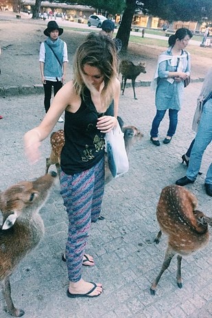 Nai tự do chạy tung tăng ở một số nơi.