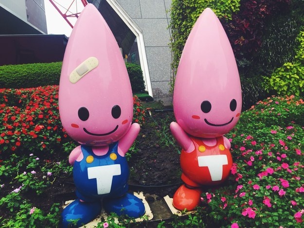 Nhung dieu thu vi chi co o Nhat Ban hinh anh