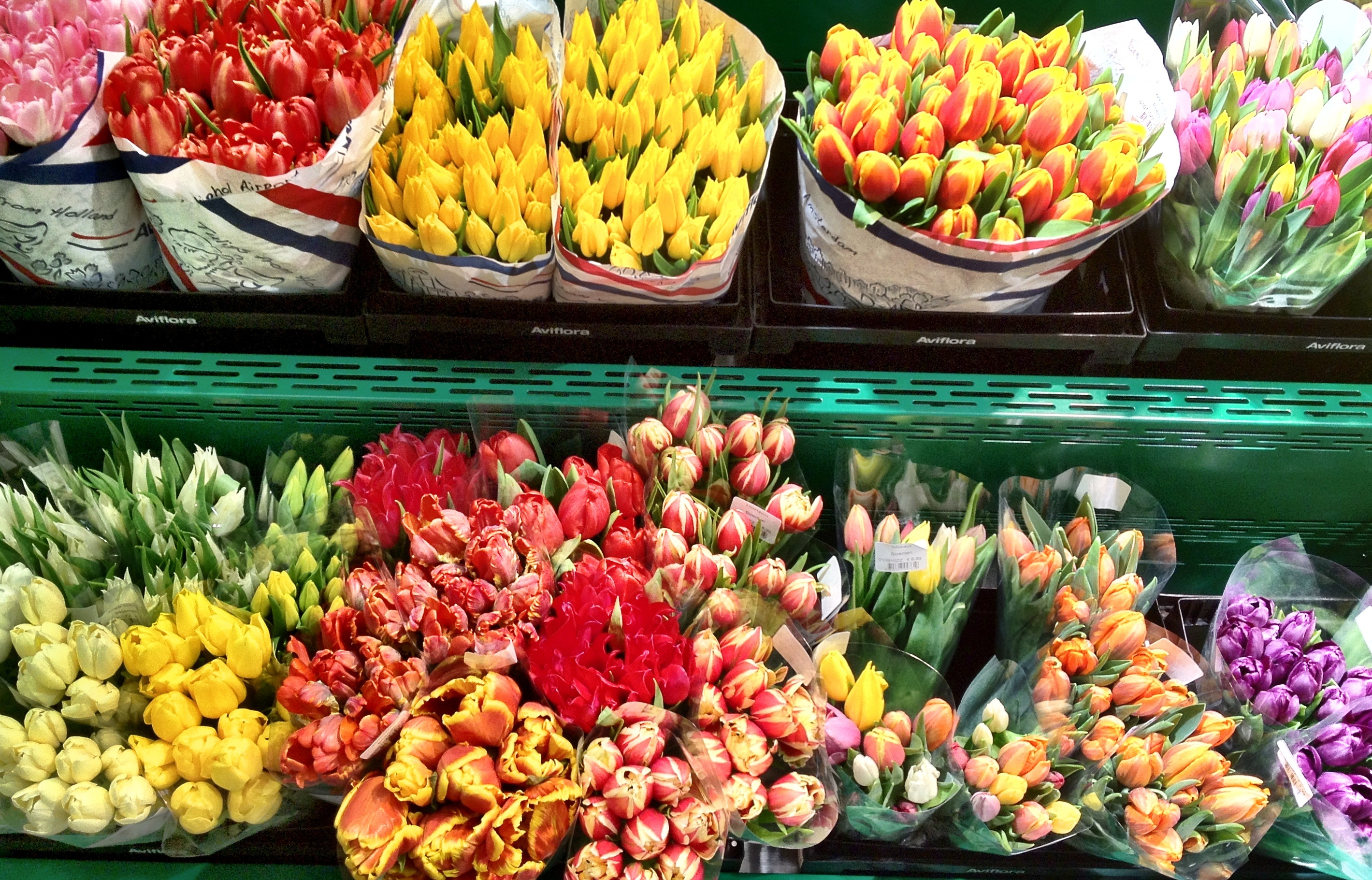 Hãy tô điểm cuộc sống bằng những sắc màu rực rỡ.