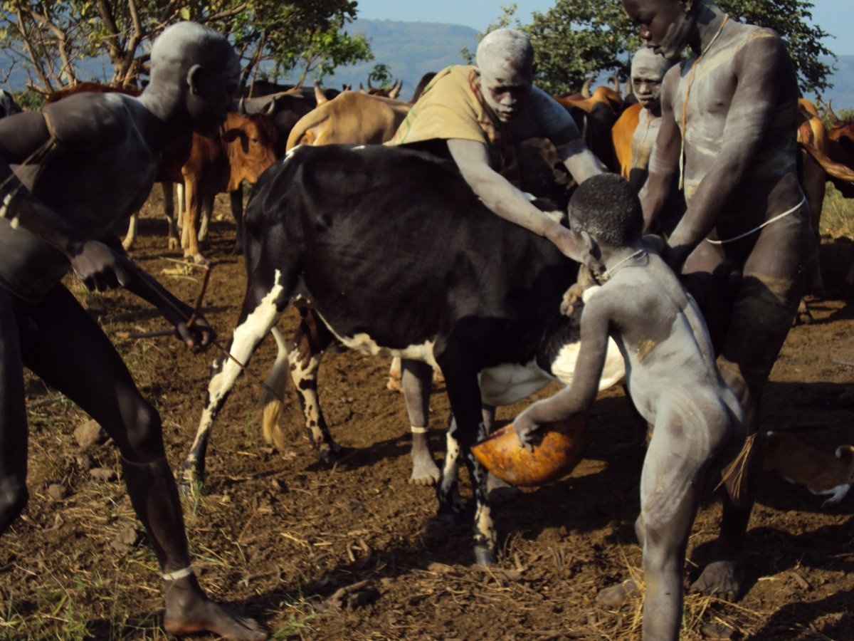 Smirnoff cho biết, đàn ông bộ tộc này uống máu từ các con vật. Anh cũng có nếm thử và tiết lộ rằng mùi vị không đến nỗi quá tệ.