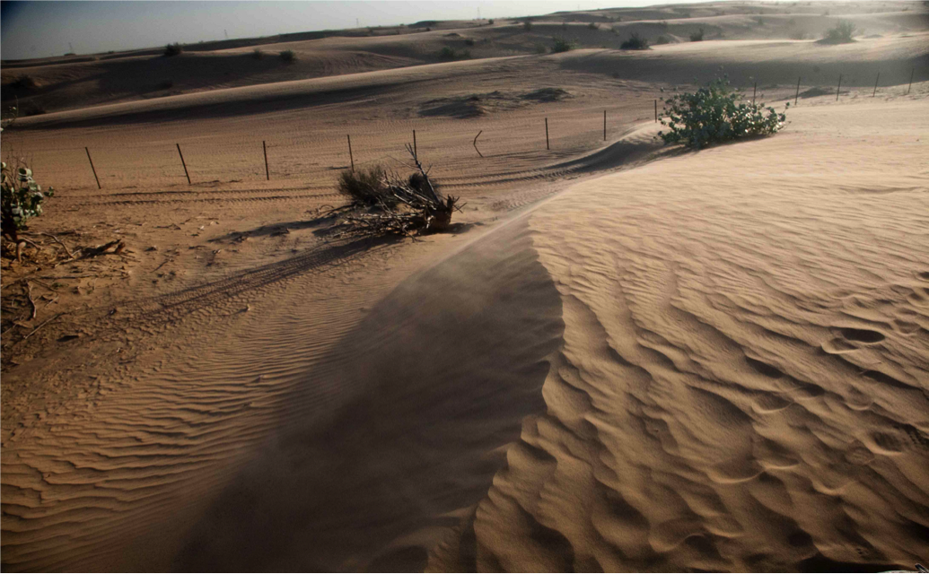 Sa mạc: Nhiều hãng lữ hành tổ chức các tour đến sa mạc với các hoạt động như lái xe 4 bánh, cưỡi lạc đà hay chiêm ngưỡng chim ưng bay lượn.