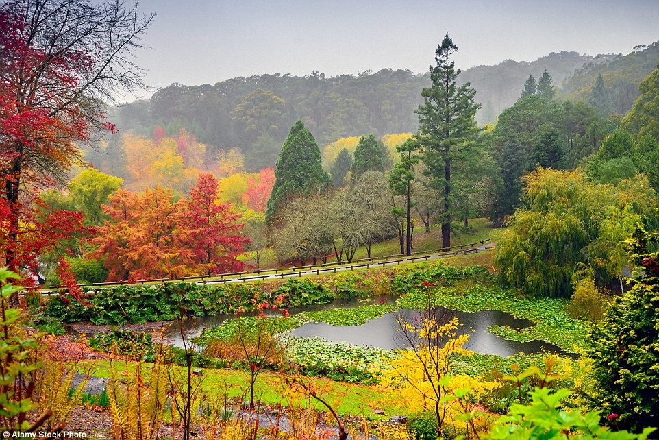 Những mảng màu tuyệt đẹp tại Adelaide Hills, đỉnh Lofty Ranges, nam Australia.