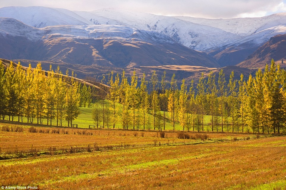 Bức tranh xinh đẹp ở Queenstown, New Zealand vào mùa thu.