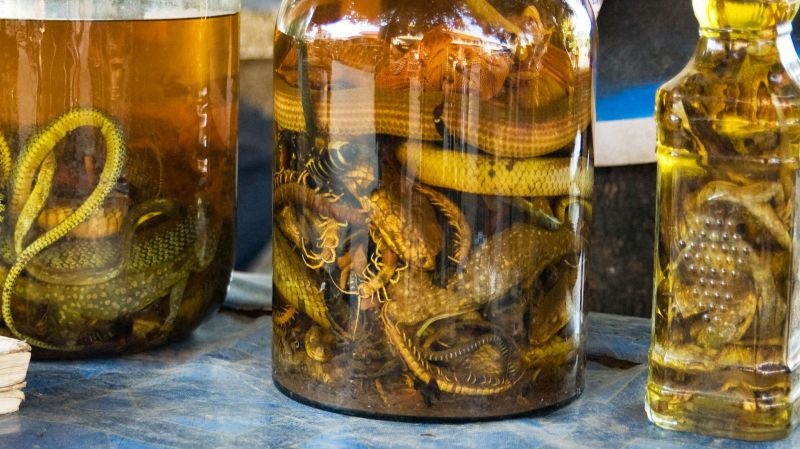 Rượu rắn là món đồ uống khá hiếm ở Philippines. Rắn nguyên con được ngâm trong rượu gạo qua nhiều tháng trước khi uống.