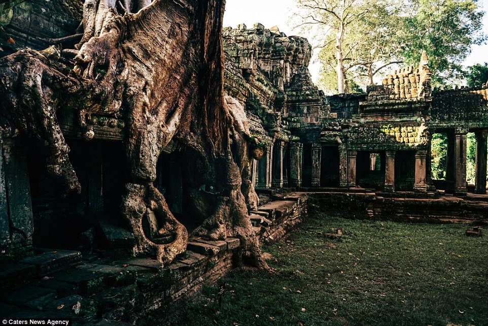 Đền Ta Prohm càng trở nên nổi tiếng hơn sau khi xuất hiện trong bộ phim Tomb Raider.