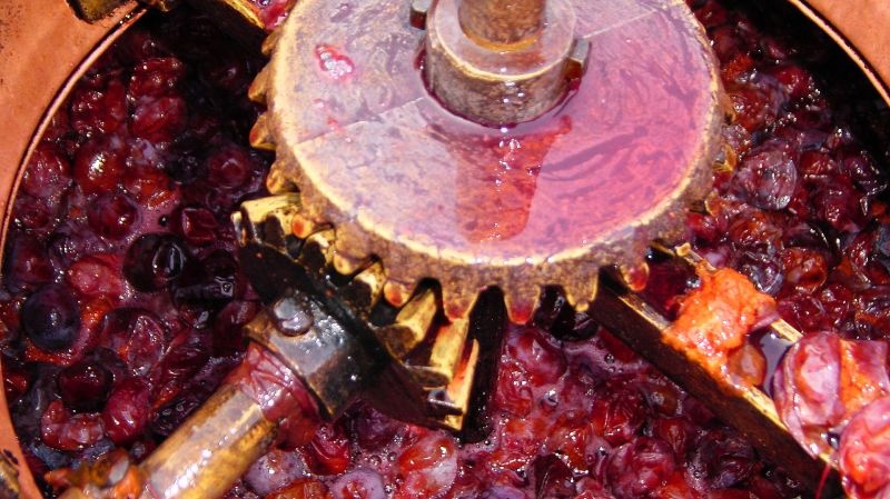 Serbia có loại rượu Rakija được làm từ mận, mạnh gần như whisky.