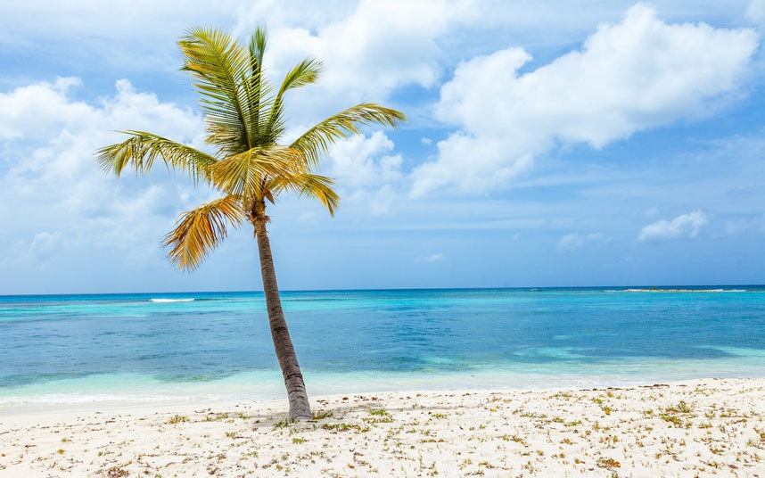 Saint Vincent và the Grenadines: Cũng giống như Saint Lucia, an ninh ở đây được đảm bảo bởi hệ thống an ninh vùng.