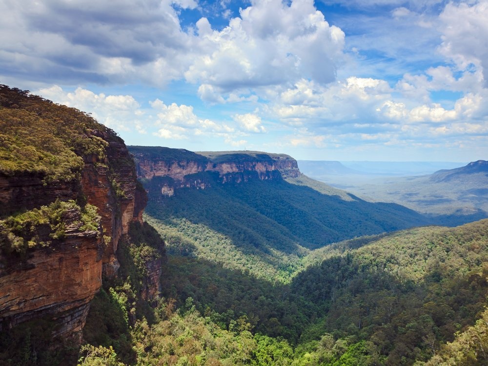 Đi dạo trong những khu rừng bạch đàn ở Blue Mountains, New South Wales.