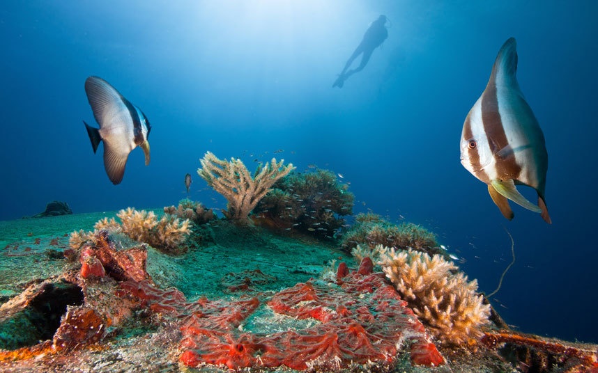 Palau: Quốc gia Thái Bình Dương này cũng không có quân đội và được Mỹ bảo vệ với thỏa ước Hiệp hội tự do.