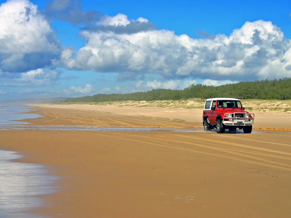 Khám phá những cánh rừng, bãi biển, đầm lầy ở đảo Fraser bằng xe 4 bánh.