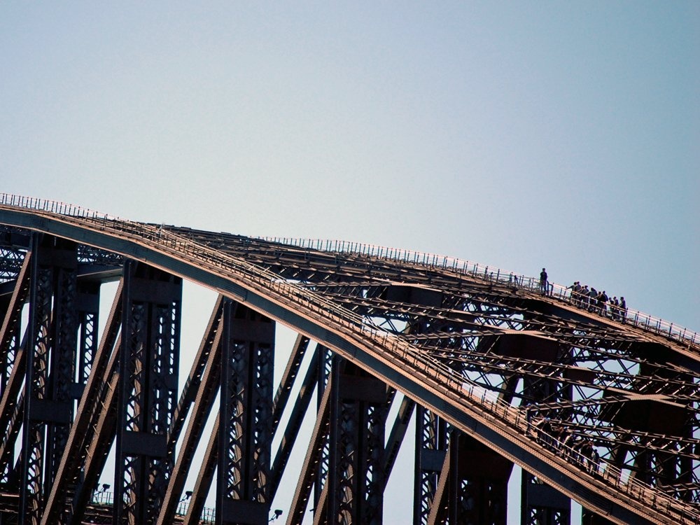 Trèo lên cầu cảng Sydney Harbour.