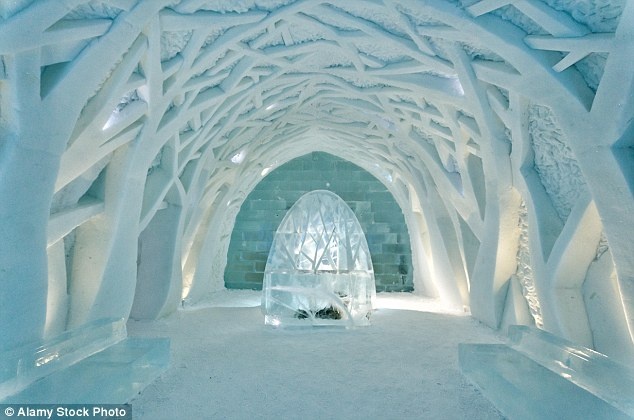 Nhung ky luc du lich vao sach Guinness 2016 hinh anh