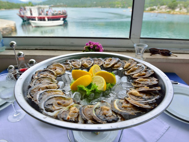 Ăn hàu sống ở Croatia: Người ta đánh bắt hàu ở vịnh Mali Ston từ thời La Mã. Hương vị của món hàu được lưu truyền và ca tụng qua nhiều thế kỷ. Nhâm nhi món hàu với rượu trắng của địa phương là một trải nghiệm ẩm thực tuyệt vời.