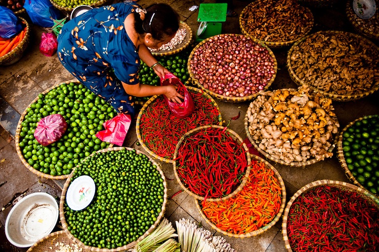 Khach Tay tiet lo bi kip du lich Viet Nam hinh anh