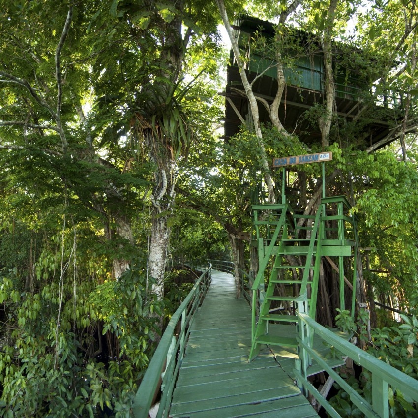 Ariaú Amazon Towers, Manuas, Brazil: Khu vực này gồm 7 ngôi nhà trên cây trong rừng Amazon, được mở lần đầu năm 1986. Dù nằm trong rừng, nhưng dịch vụ ở đây rất thoải mái cho du khách như những chiếc giường cỡ lớn, phòng khách, ban công riêng tư và những phòng tắm tiện nghi. Du khách còn có thể bơi cùng cá heo, đi dạo trong rừng hay câu cá. Một gói dịch vụ 3 ngày ở đây có giá từ <abbr class=