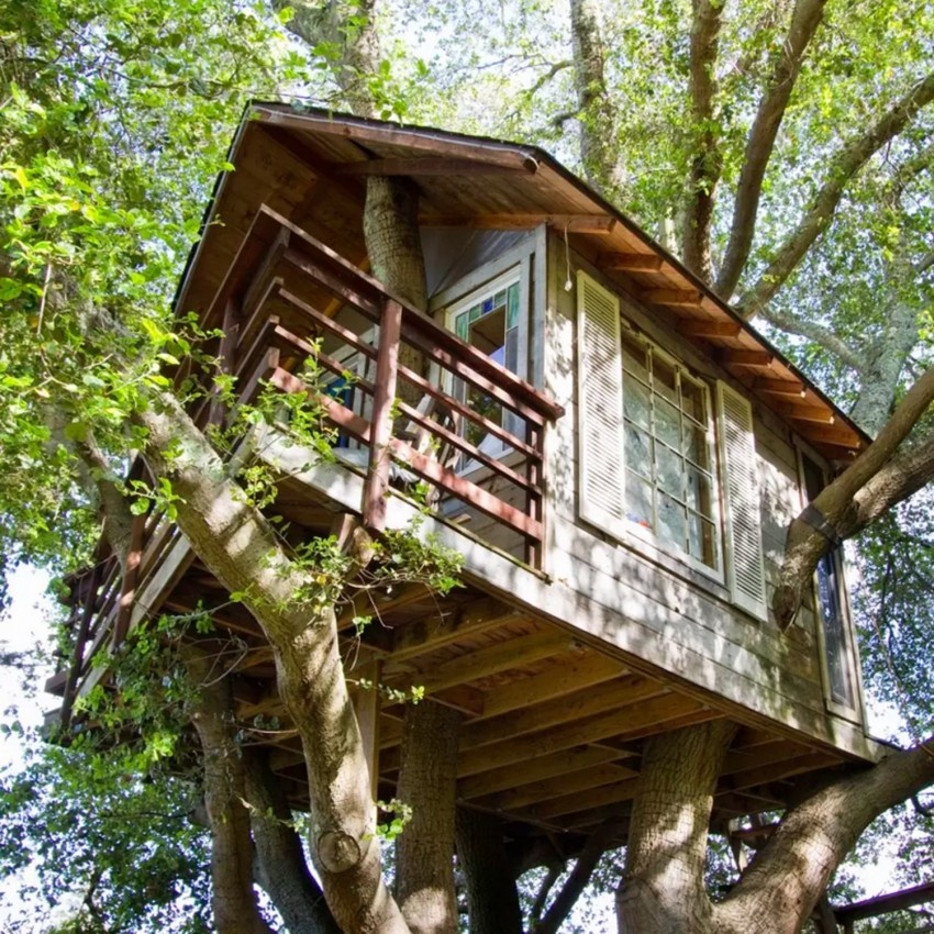 10 ngoi nha tren cay ai cung me man hinh anh