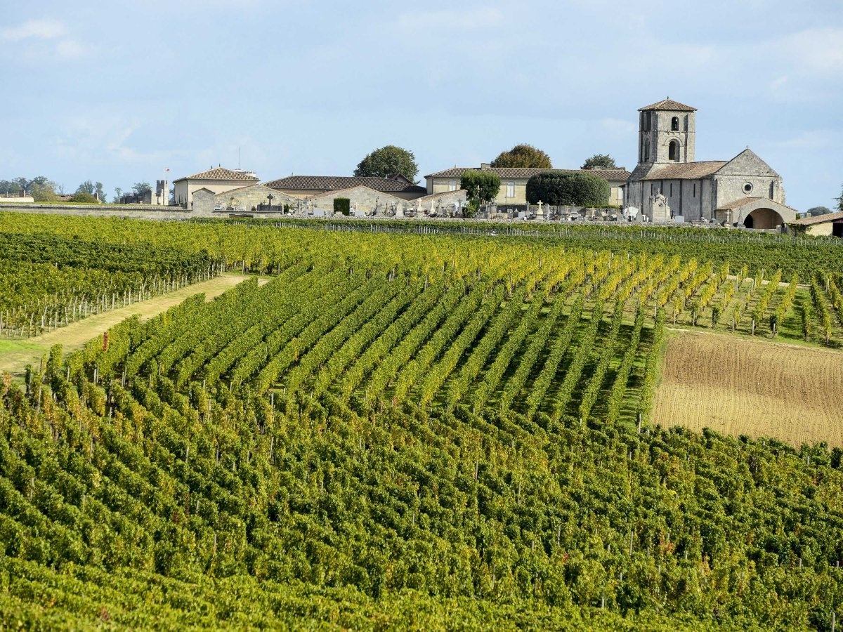 Nếm thử rượu vang ở Bordeaux.