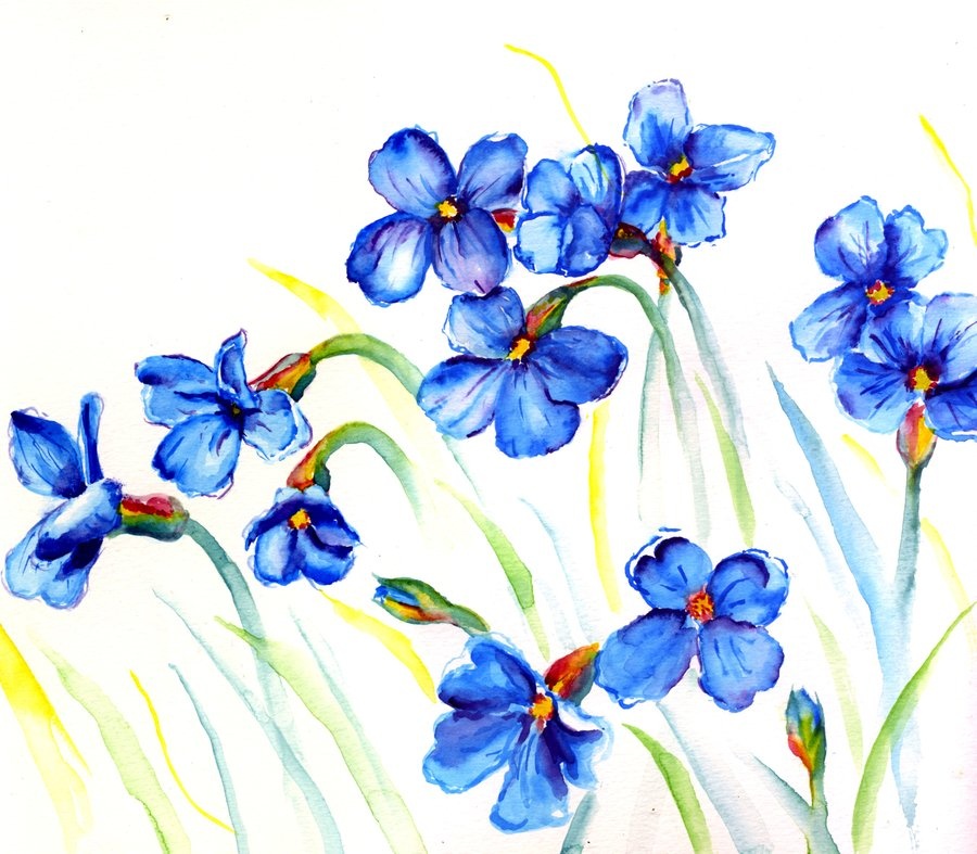 Van may ngay thu 7 (31/10) hinh anh